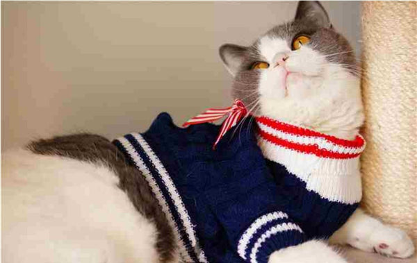 Navy Knitwear Cat Sweater