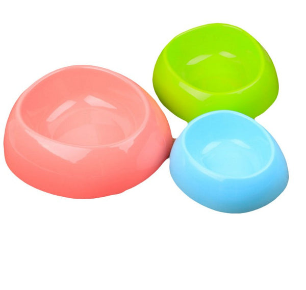 Feeding Water Food Kitten Feeder