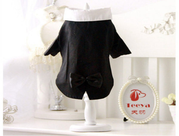 Cats Tuxedo Formal Party Suit